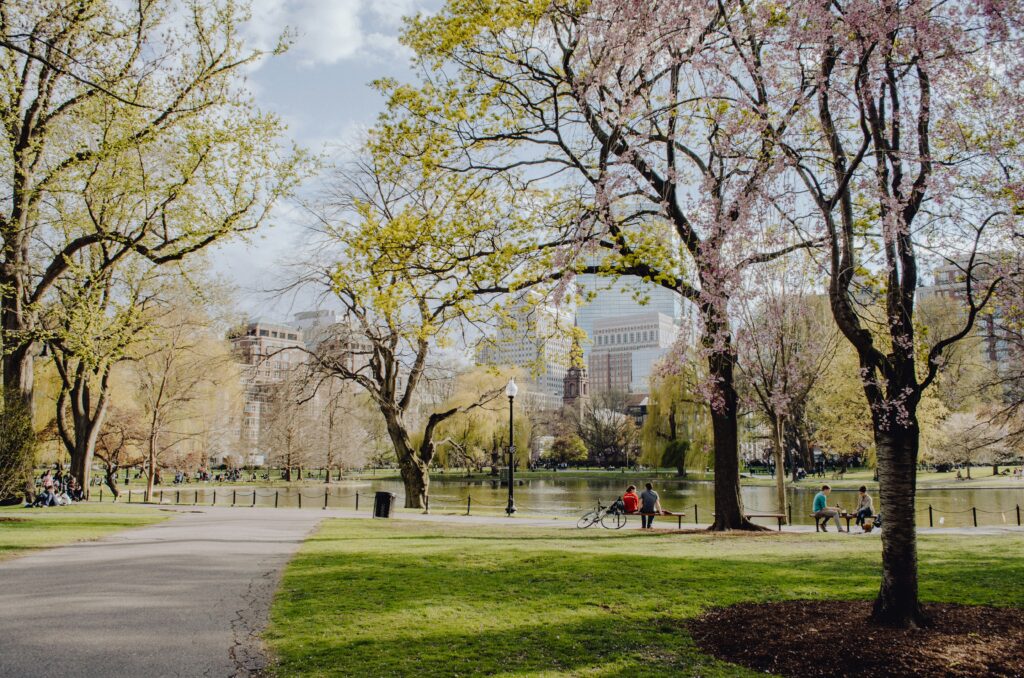 NYC Bike Tour