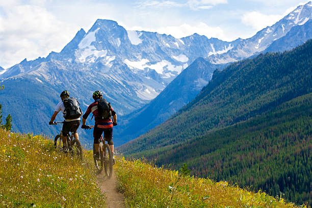 mountain bicycle